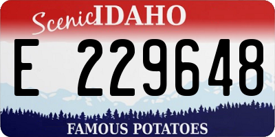 ID license plate E229648