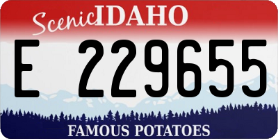 ID license plate E229655