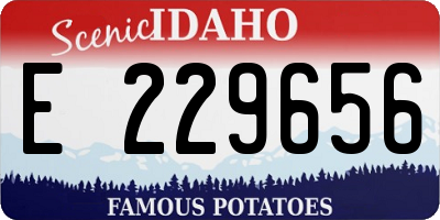 ID license plate E229656