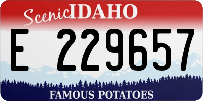 ID license plate E229657