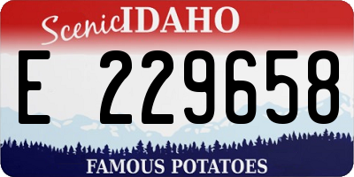 ID license plate E229658