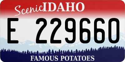 ID license plate E229660