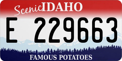 ID license plate E229663
