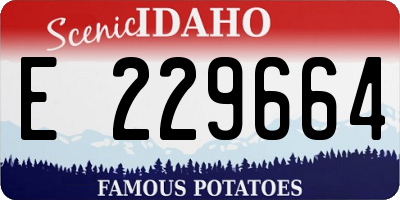 ID license plate E229664