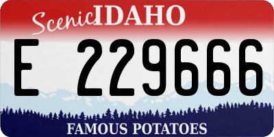 ID license plate E229666