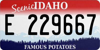 ID license plate E229667