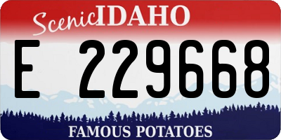 ID license plate E229668
