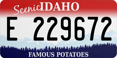 ID license plate E229672