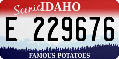 ID license plate E229676