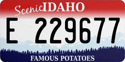 ID license plate E229677