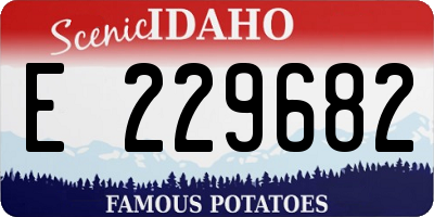 ID license plate E229682