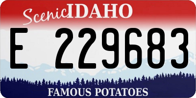 ID license plate E229683