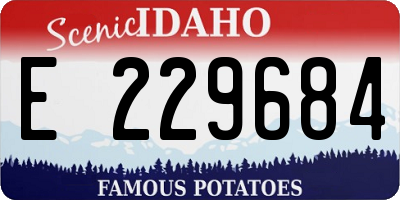 ID license plate E229684