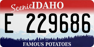 ID license plate E229686