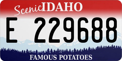 ID license plate E229688