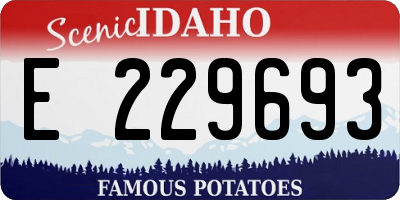 ID license plate E229693
