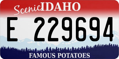 ID license plate E229694