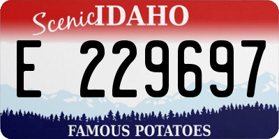 ID license plate E229697