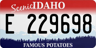 ID license plate E229698