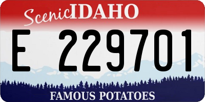 ID license plate E229701