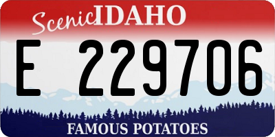 ID license plate E229706