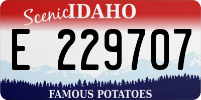 ID license plate E229707