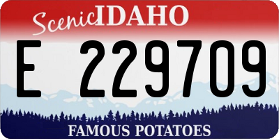 ID license plate E229709