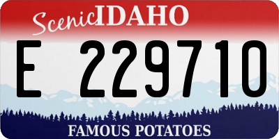 ID license plate E229710