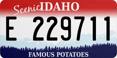 ID license plate E229711