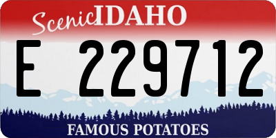ID license plate E229712
