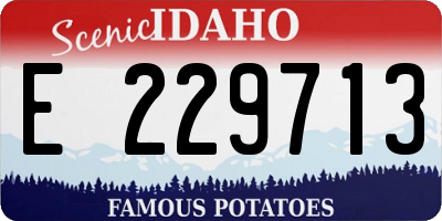 ID license plate E229713