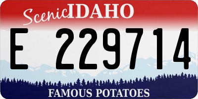 ID license plate E229714