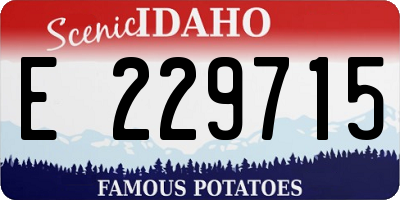 ID license plate E229715