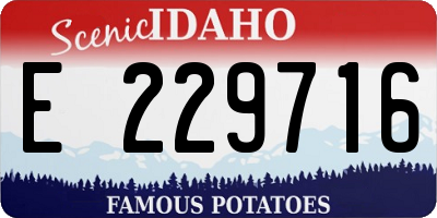 ID license plate E229716