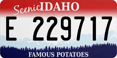 ID license plate E229717