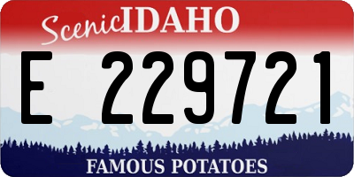 ID license plate E229721