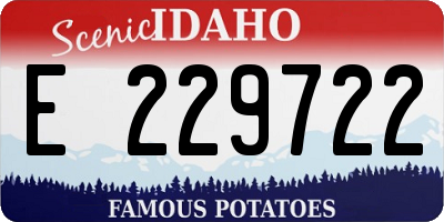 ID license plate E229722