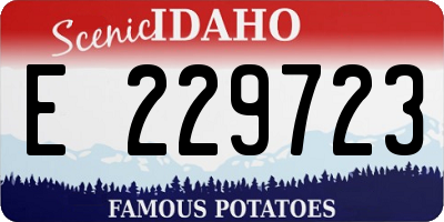 ID license plate E229723