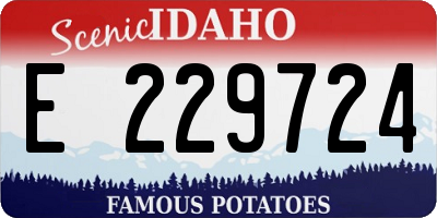 ID license plate E229724