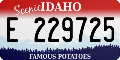 ID license plate E229725