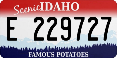 ID license plate E229727