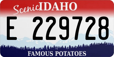 ID license plate E229728