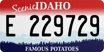 ID license plate E229729