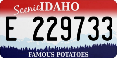 ID license plate E229733
