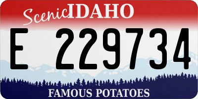 ID license plate E229734