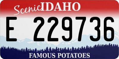 ID license plate E229736
