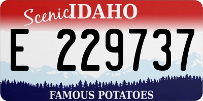ID license plate E229737