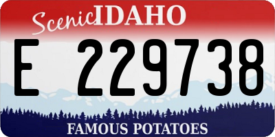 ID license plate E229738