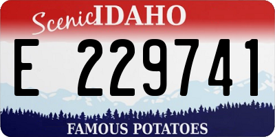 ID license plate E229741