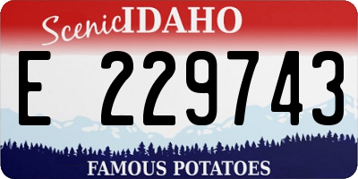 ID license plate E229743